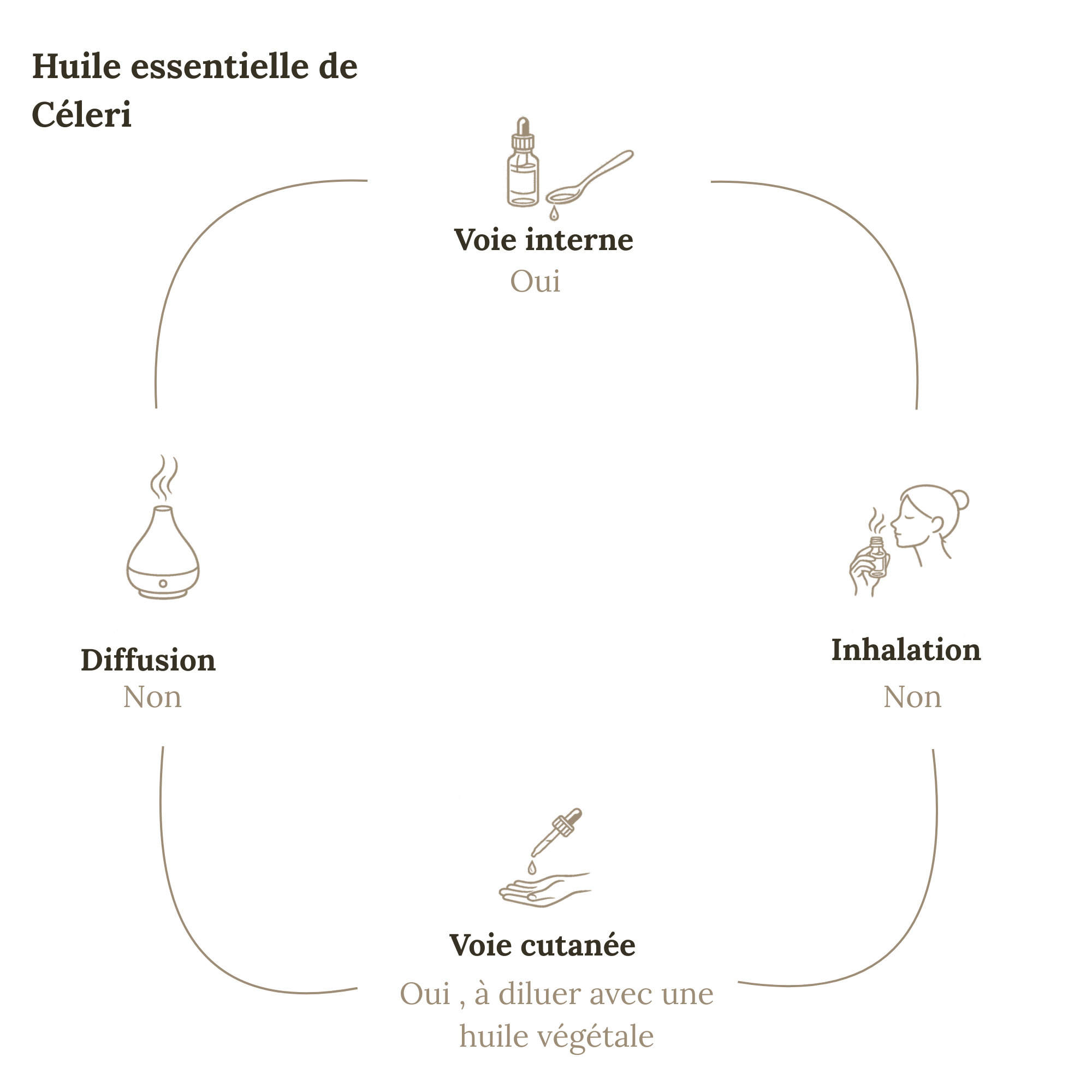 Huile Essentielle CÉLERI