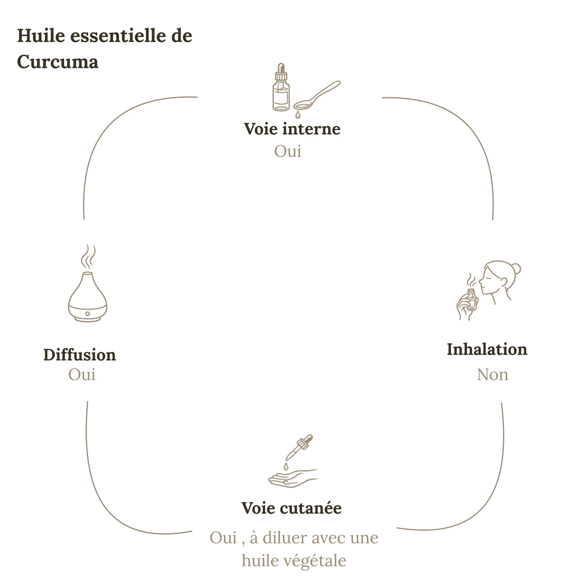Huile Essentielle CURCUMA