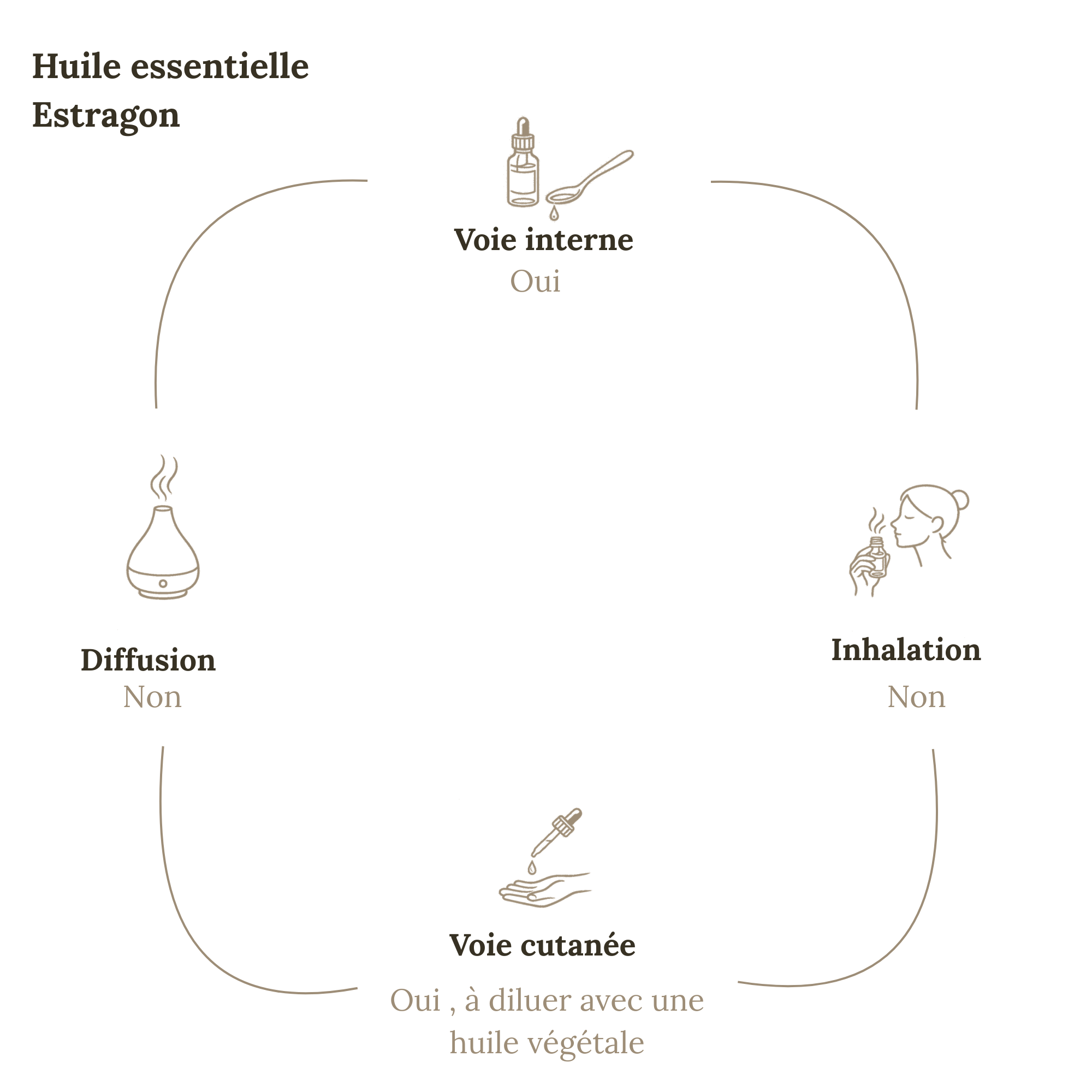 Huile Essentielle ESTRAGON