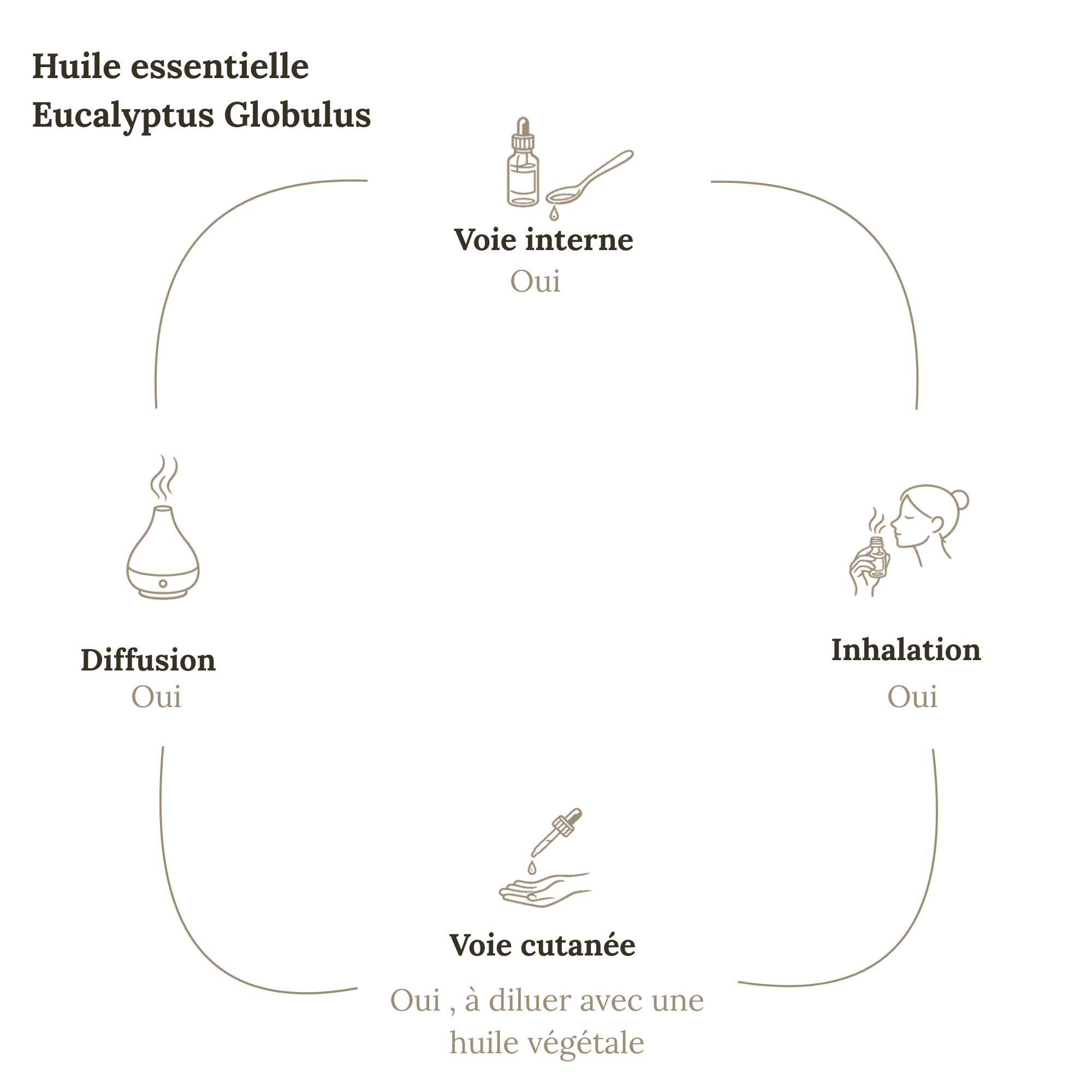 Aceite Esencial EUCALYPTUS GLOBULUS