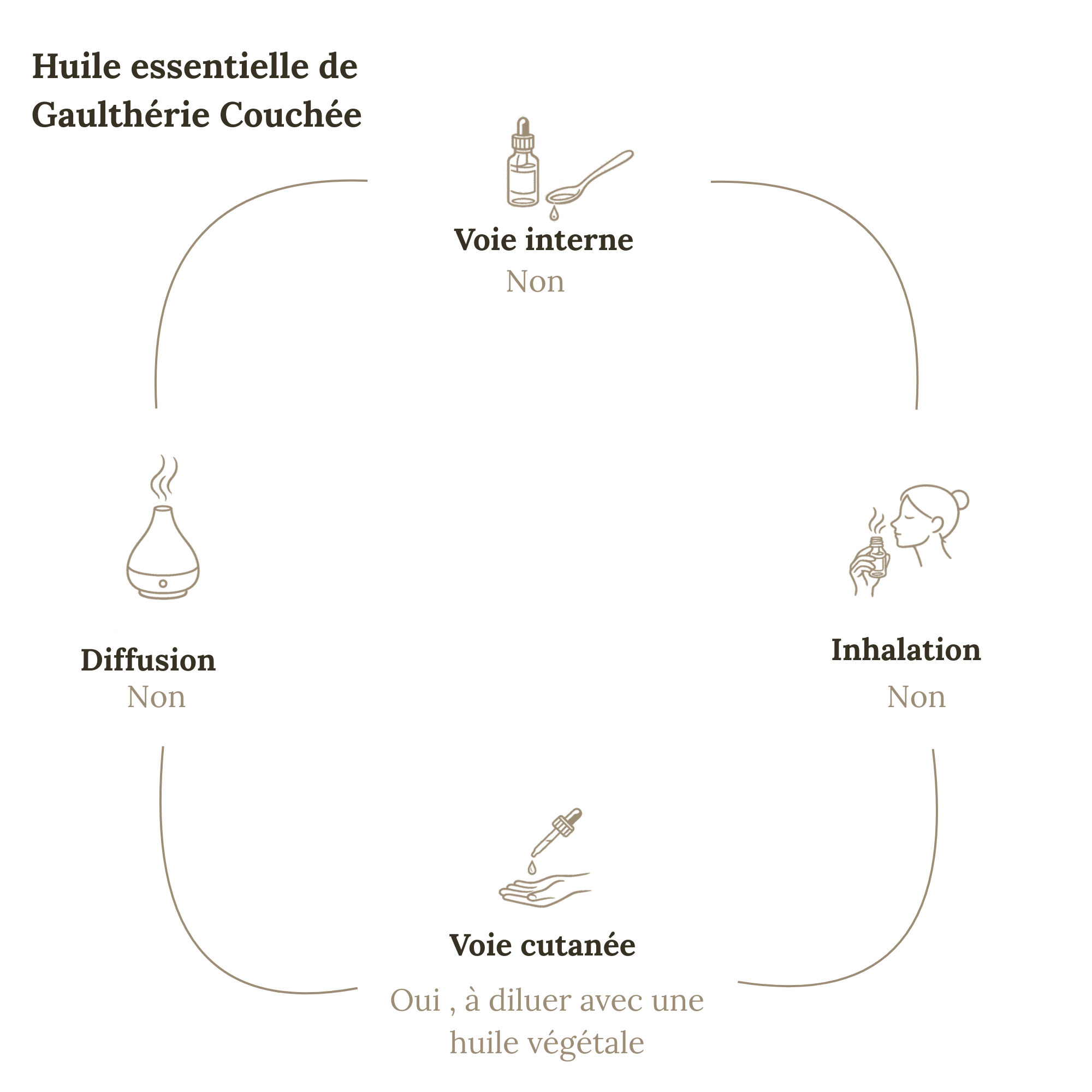 Huile Essentielle GAULTHÉRIE COUCHÉE