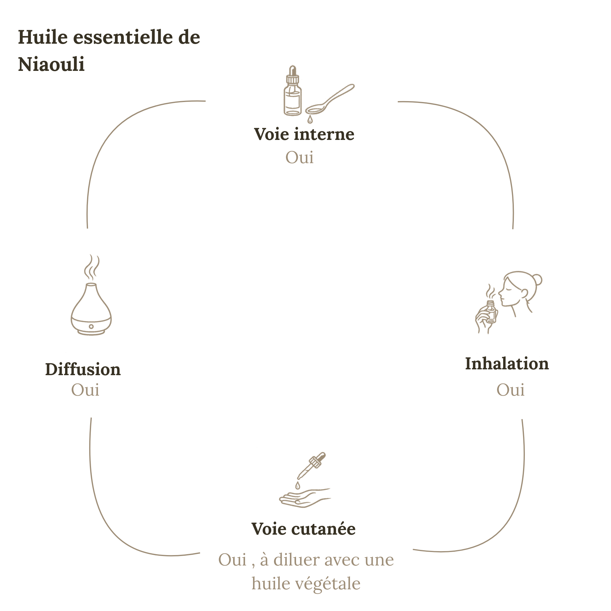 Huile Essentielle NIAOULI  10 ml