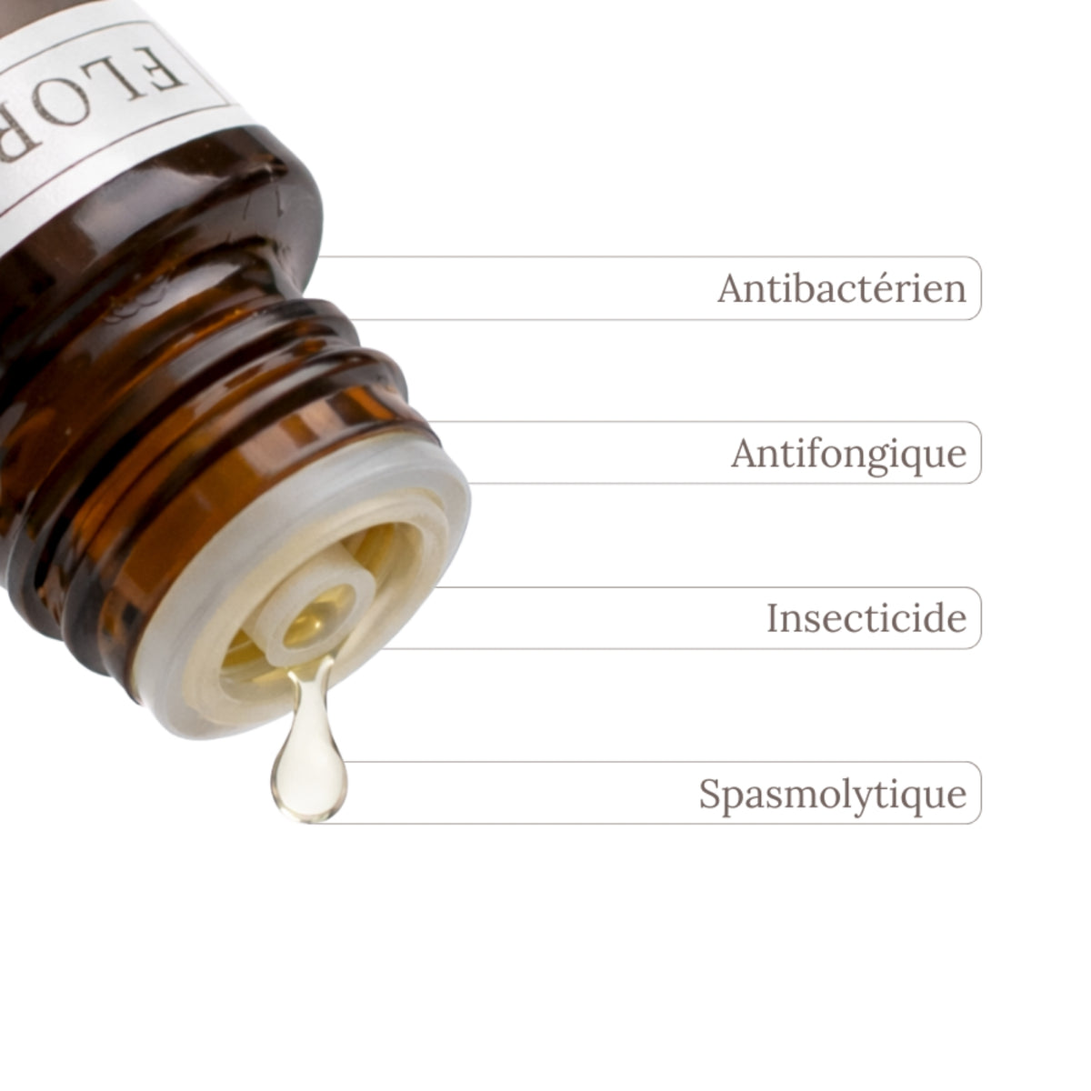 Aceite esencial de palmarosa 10 ml