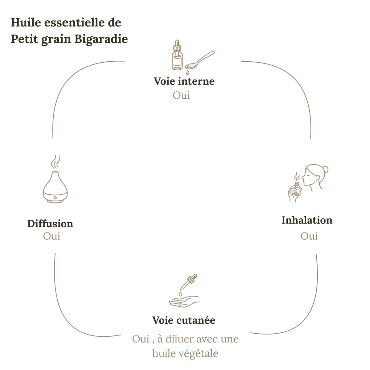 Huile Essentielle PETIT GRAIN BIGARADE