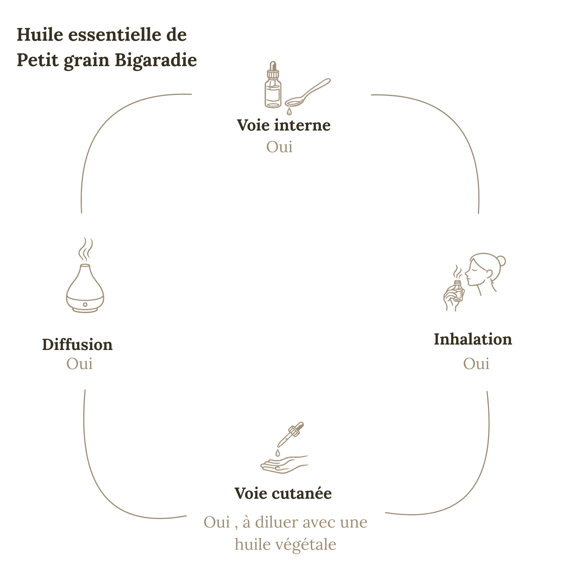 Huile Essentielle PETIT GRAIN BIGARADE