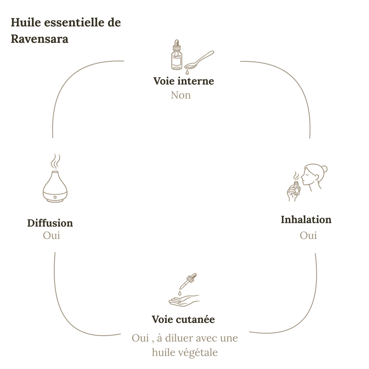 Huile Essentielle RAVENSARA