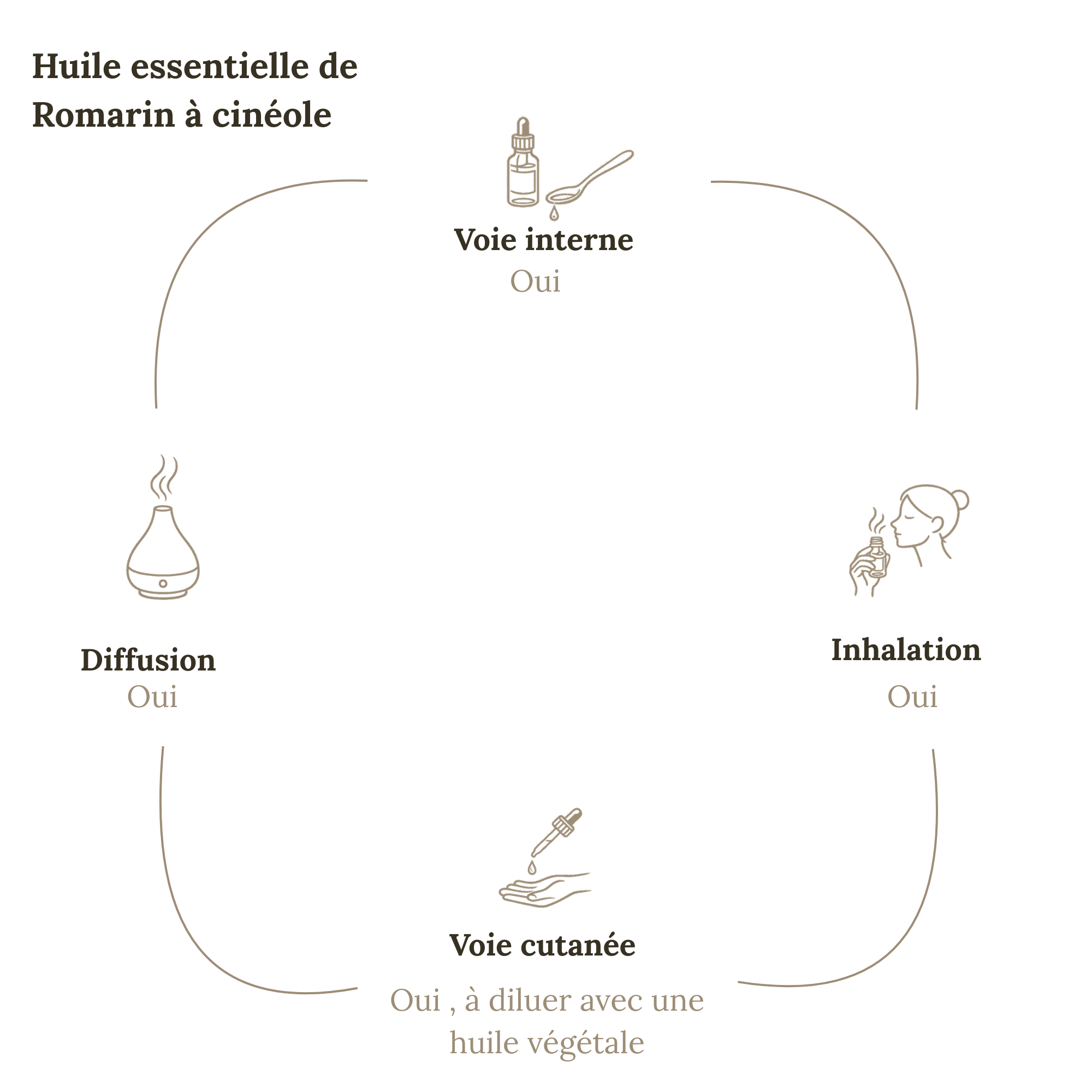 Huile Essentielle ROMARIN