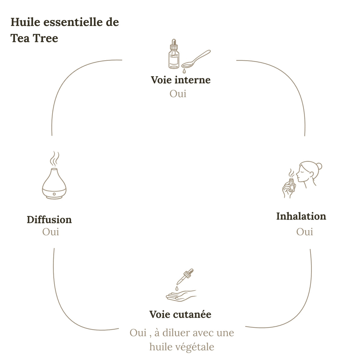 Aceite esencial de árbol de té