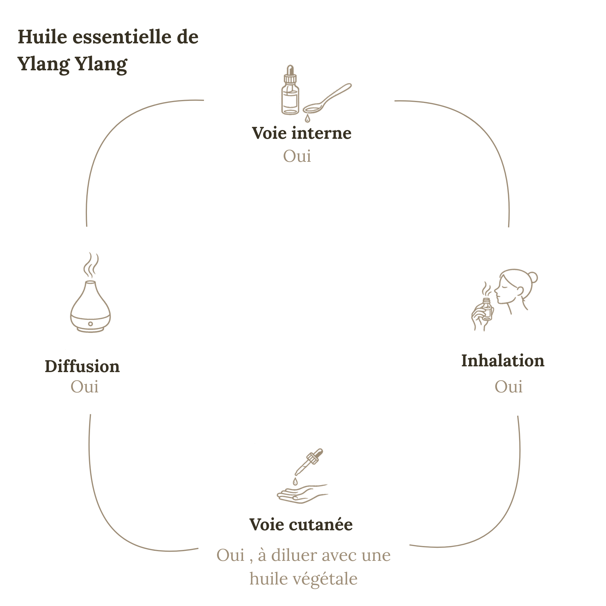 Huile essentielle YLANG-YLANG