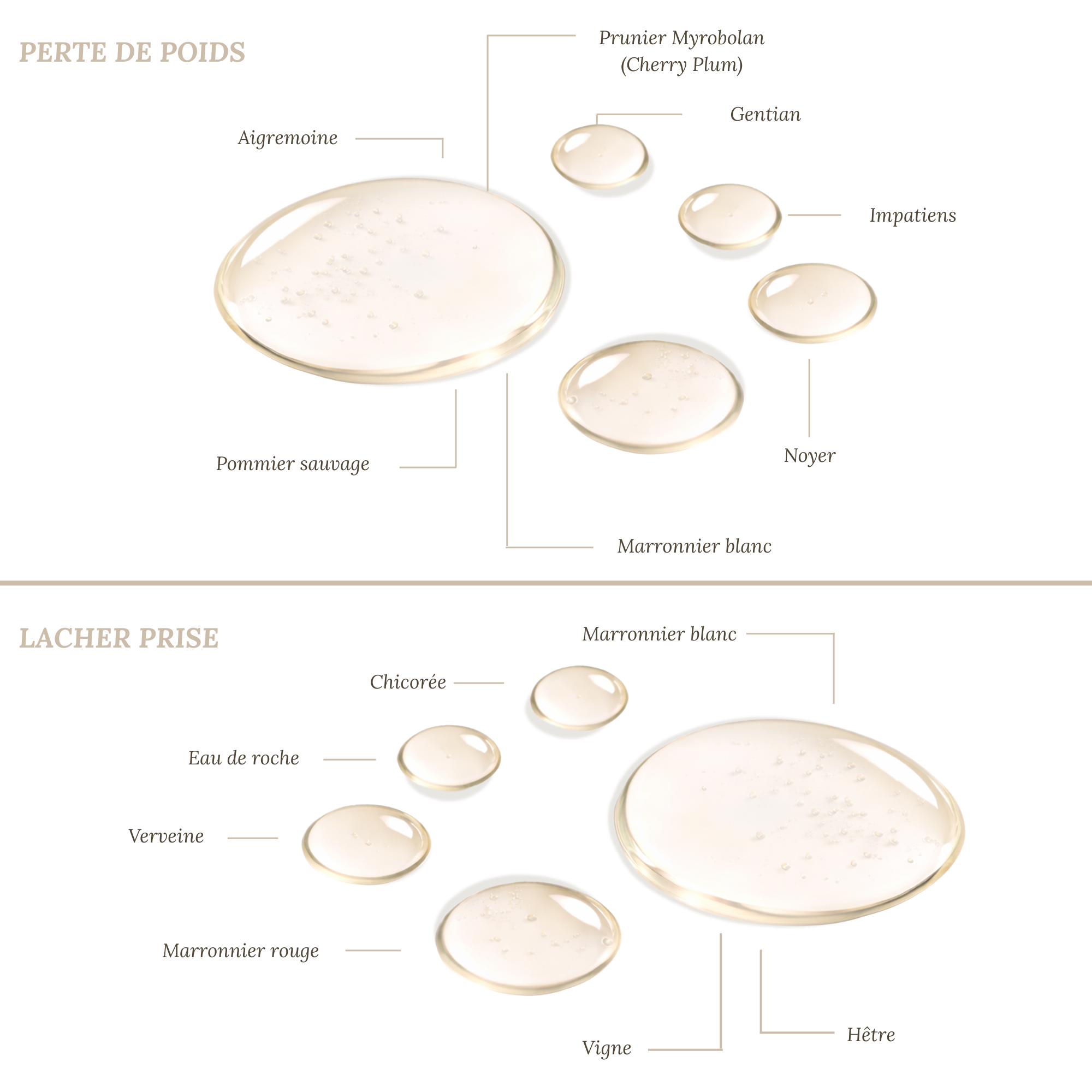 Je voudrais perdre du poids