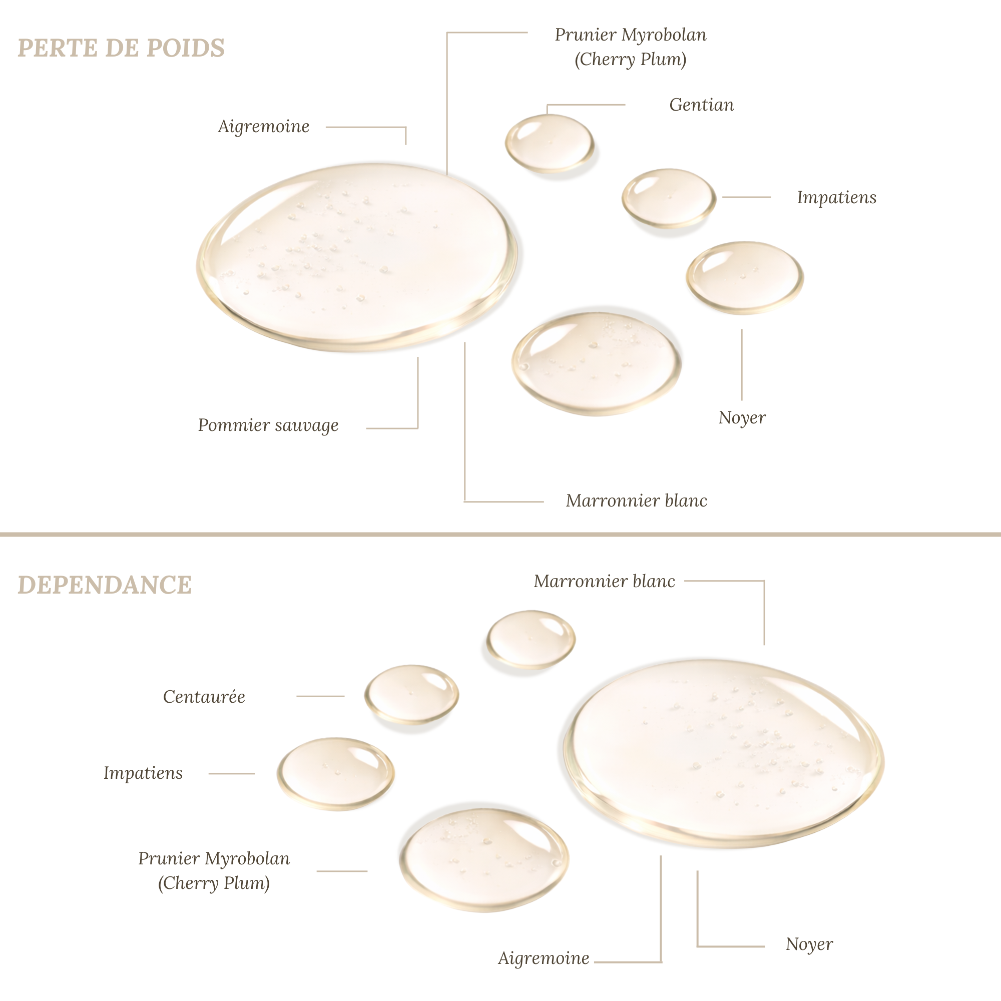 Maigrir c'est trop long