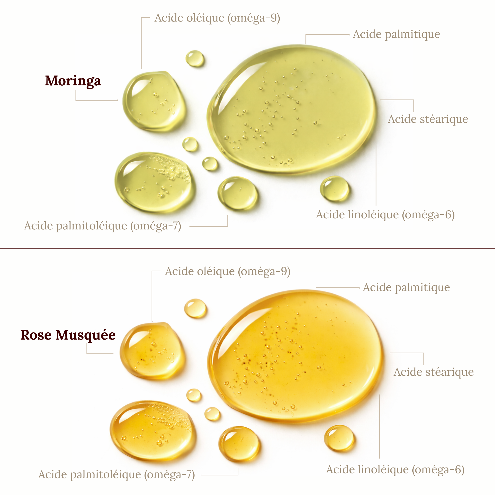 Rituel Anti-âge & régénération