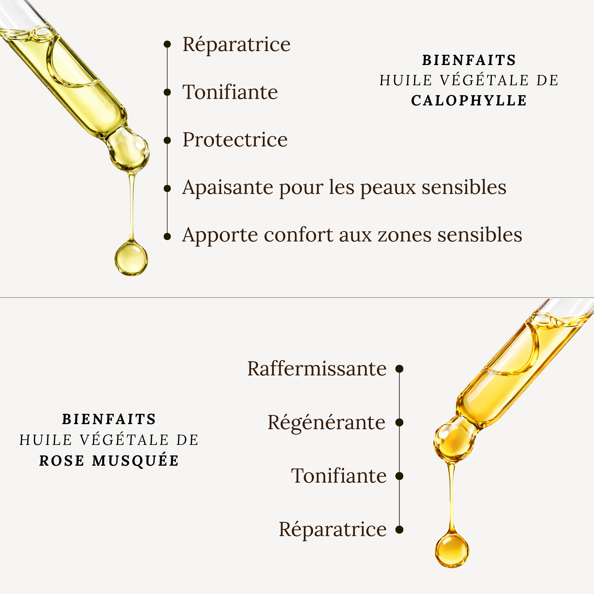 Rituel Cicatrices & marques