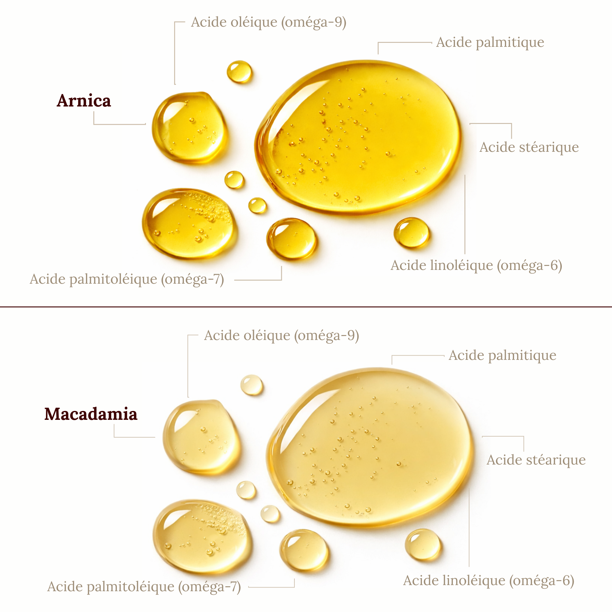 Rituel Muscles & récupération