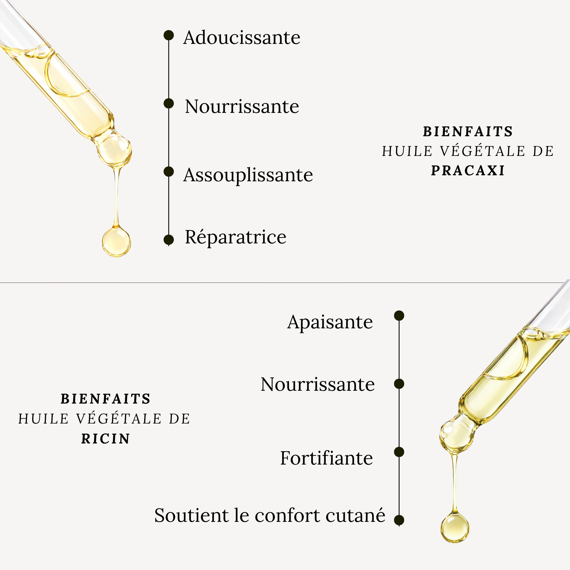 Rituel Réparation cheveux