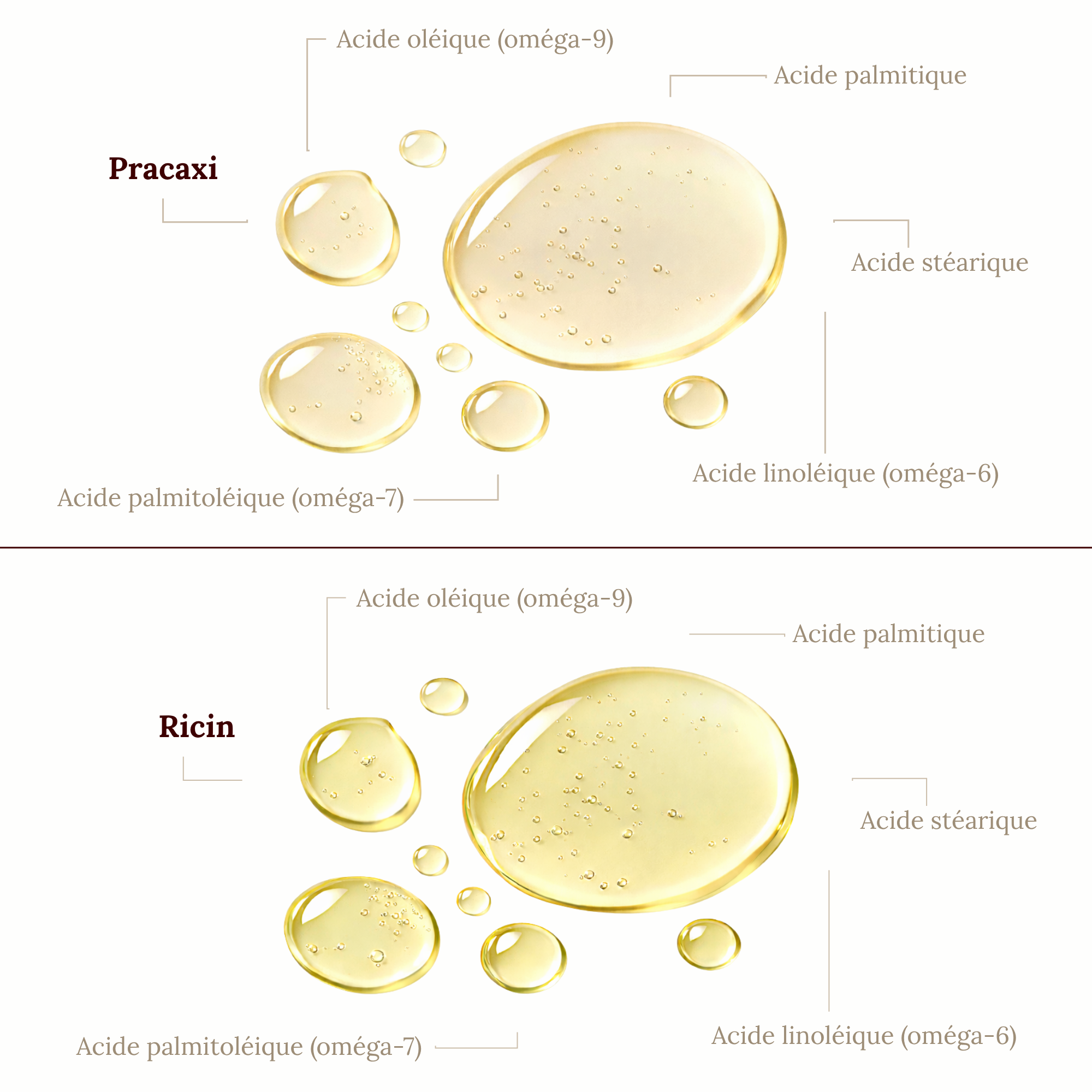 Rituel Réparation cheveux