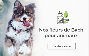 Top Animaux.png