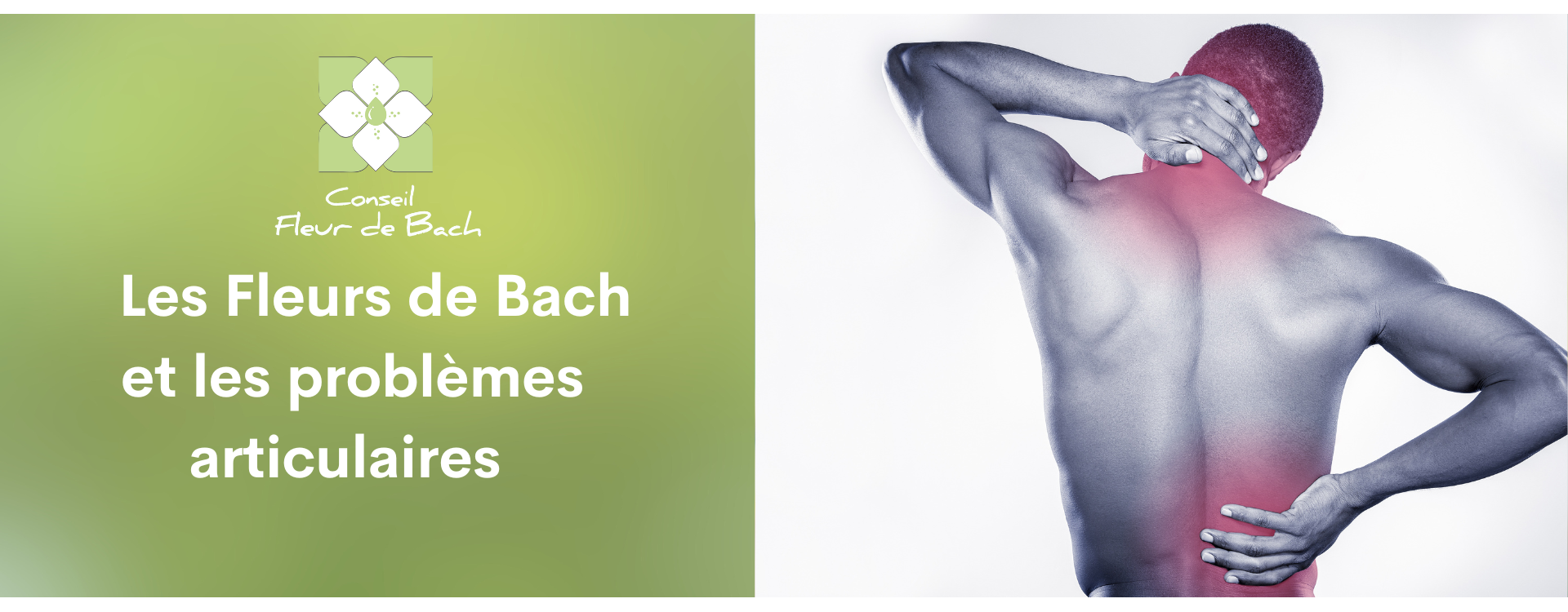 Le grand livre des fleurs de Bach pour se soigner - Angoisse
