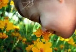 Et si vous soigniez vos Enfants avec des Fleurs de Bach ? - Blog d'Angélique