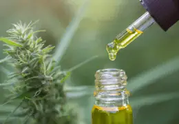 CBD : Bienfaits, différences avec le THC, utilisation, dangers et statut légal - Blog d'Angélique