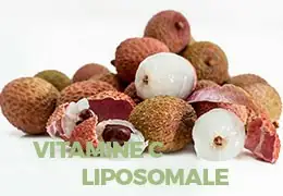 Vitamine C liposomale : ce qu'il faut savoir - Blog d'Angélique