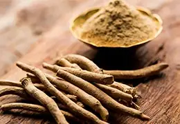 Tout savoir sur l'Ashwagandha - Blog d'Angélique