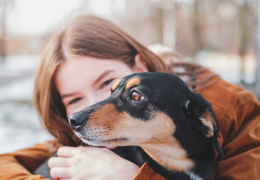 La thérapie par les animaux : Le lien bénéfique entre les animaux et notre bien-être - Blog d'Angélique