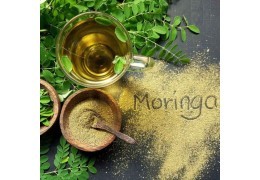 L’huile de moringa, un secret ancien pour une beauté moderne