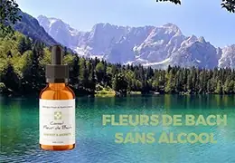 Faut-il utiliser les Fleurs de Bach Sans Alcool - Blog d'Angélique