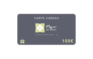 
			                        			Carte Cadeau 100 euros